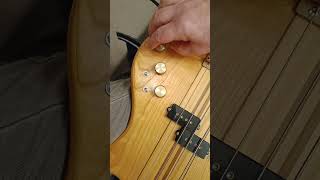 Westone Thunder 1A  bass run through and tones [upl. by Lesly973]