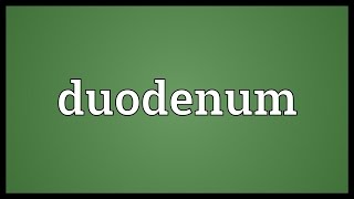 Duodenum Meaning [upl. by Pathe]