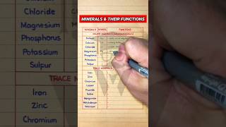 Different Types of Minerals amp Their Functions [upl. by Safir372]