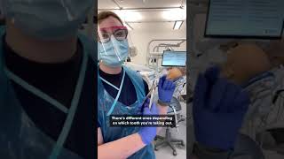 How do dentists extract a molar tooth [upl. by Quarta982]