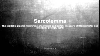 Medical vocabulary What does Sarcolemma mean [upl. by Damales957]