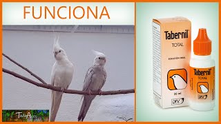 🐤 TABERNIL total VITAMINAS para PAJAROS 🐦🐦🐤 [upl. by Cleo416]