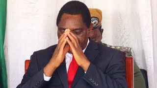 Chilufya Tayali Hakainde Hichilema New Scandals Revealed [upl. by Ellerehc]