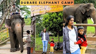 Dubare Elephant Camp  A Magical Experience with Elephants  Coorg  Place to Visit Near Coorg [upl. by Maitilde]