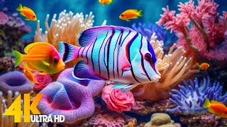 Aquarium 4K VIDEO ULTRA HD 🐠 Beautiful Coral Reef Fish  Relaxing Sleep Meditation Music [upl. by Ellennahc]