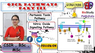 PERTUSSIS TOXIN AND NITRIC OXIDE SIGNALLING PATHWAY  Cell Communication  Life Sciences [upl. by Kaiser]