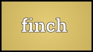 Finch Meaning [upl. by Warren]