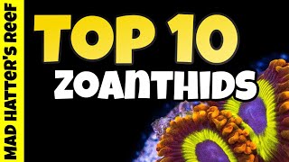 Top 10 Zoanthids For Your Reef Tank [upl. by Oman]