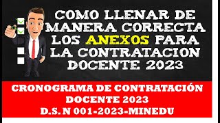 COMO LLENAR DE MANERA CORRECTA LOS ANEXOS PARA LA CONTRATACION DOCENTE 2023 [upl. by Gnanmos793]