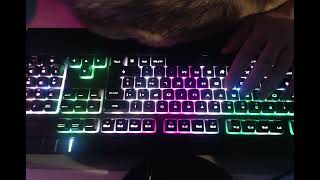 Typing for 20 minutes with cat [upl. by Kakalina]