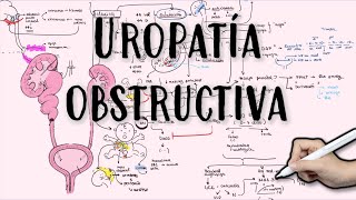 OBSTRUCCIÓN URINARIA  REFLUJO VESICUOURETERAL  Hidroureteronefrosis uropatia obstruccion rvu [upl. by Delacourt]