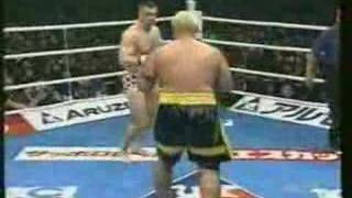 Cro Cop vs Mark Hunt [upl. by Pardner96]