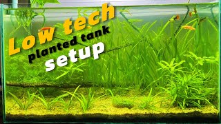 How to setup Low Tech Planted tank  For Beginners [upl. by Aicnerolf420]