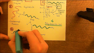 Parkinsons Disease and Antiparkinson Drugs Part 3 [upl. by Indnahc]