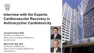 Cardiovascular Recovery in Anthracycline Cardiotoxicity [upl. by Nyladam]