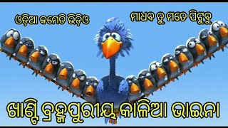 Khanti Berhampuriya Kalia Bhaina  Berhampuriya Angry Bird Version Odia Funny Video  khati [upl. by Georglana]