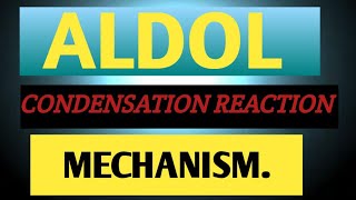 ALDOL CONDENSATION REACTION with MECHANISM [upl. by Ereveneug116]