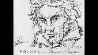 VZO lit Beethoven Testament de Heiligenstadt [upl. by Sheedy]