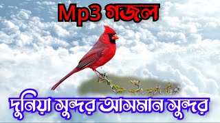 দুনিয়া সুন্দর মানুষ সুন্দর গজল lyrics  dunia sundor manush sundor lyrics [upl. by Jotham]