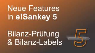 eSankey 5  BilanzPrüfung amp Bilanz Label [upl. by Allehs805]