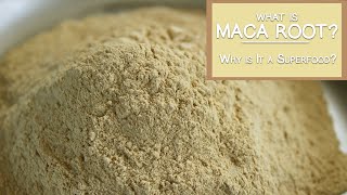 What is Maca Root and Why is It a Superfood [upl. by Ahsihat]