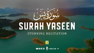 Most beautiful recitation of Surah Yaseen Yasin سورة يس ⋮ Zikrullah TV [upl. by Dyer297]