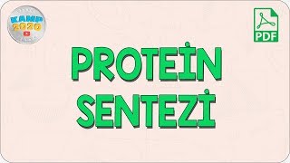 Protein Sentezi  AYT Biyoloji 2020 [upl. by Anahsahs379]