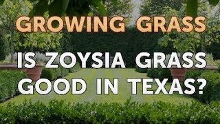 Is Zoysia Grass Good in Texas [upl. by Etnaed]