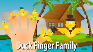 Ducks Finger Family  Finger Family English Nursery Rhymes for Kids [upl. by Hurff34]