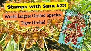 Grammatophyllum speciosum  Tiger Orchid Stamps with Sara 23 [upl. by Pironi]