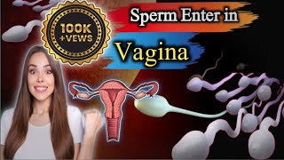 quot Sperm’s Path to Fertilization 🌟  How It Enters the Vagina and What Happens Next quot [upl. by Ellerud671]