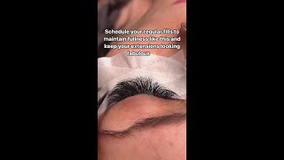 Lash V  This is why you should get regular lash extension infills full fabulous lash goals [upl. by Retrak]