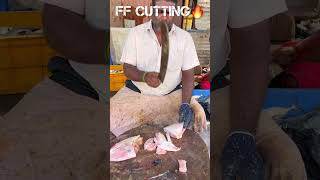 KASIMEDU 🔥 MINNAL RAJA LETHER JACKET FISH CUTTING VIDEO kasimeduraja fishcutting youtubeshorts [upl. by Iormina]