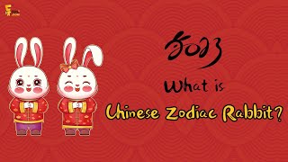 Chinese Zodiac 2023 What is the Year of the Rabbit [upl. by Aniluj626]