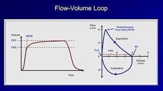 Pulmonary Function Tests PFT Lesson 2  Spirometry [upl. by Ardnnek264]