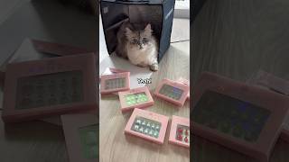 Mia approves cat catlover nails makeup fyp fyfyi youtube nailsnailsnails nailart [upl. by Tut185]