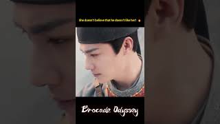 🥰 Brocade Odyssey  YOUKU [upl. by Aicargatla]