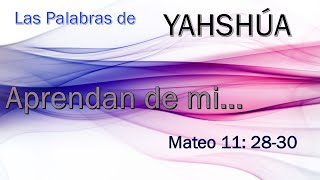 LAS PALABRAS DE YAHSHÚA  Mateo 112830 [upl. by Eyr]