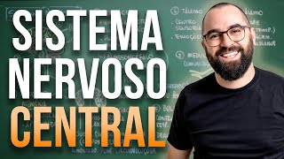 Sistema Nervoso Central  Aula 36  Módulo 7 Fisiologia Humana [upl. by Elijah706]