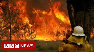 Australia fires Morrison heckled by bushfire victims  BBC News [upl. by Atiseret]