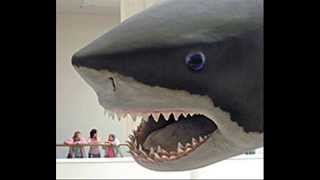 Megalodon worlds biggest shark [upl. by Nikki]