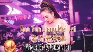 Ruo Yue Liang Mei Lai  若月亮沒來 Electro Manyao By Dj Brian Biedj抖音版2024 remixmanyao [upl. by Olnee641]