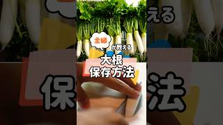 大根の保存方法 冬野菜 野菜保存方法雑学 野菜栽培 料理 農業 園芸 [upl. by Janina]