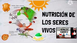 LA NUTRICIÓN DE LOS SERES VIVOS nutrición autotrofos heterotrofos [upl. by Anelhtak682]