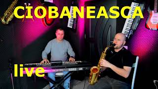 CIOBANEASCA LA SAXOFON  live [upl. by Renmus318]