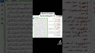 Qiraat 10 Sughra Surah alBaqarah 13 [upl. by Nosrak951]