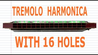 How to Play a Tremolo Harmonica with 16 Holes [upl. by Blasien52]