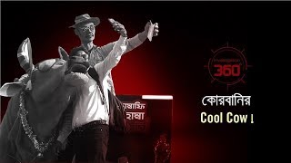 কুরবানীর কুল কাউ  Investigation 360 Degree  EP 117 [upl. by Kraul]