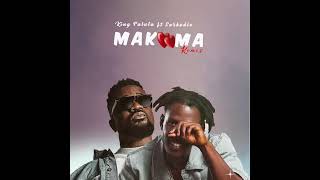 King Paluta  Makoma remix ft Sarkodie [upl. by Alegnatal]