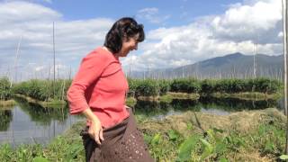 Hydroponics on Inle lake [upl. by Retniw]